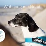 Haus Jungnamen Whg. 9 Wittdün