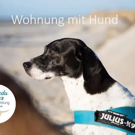 Haus Jungnamen Whg. 9 Wittdun